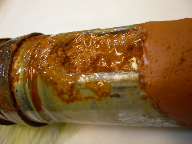 Iron Related Bacteria